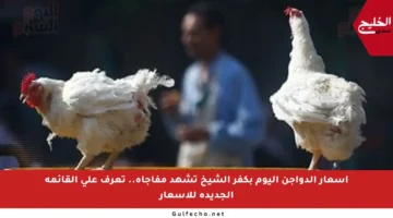 أسعار الدواجن اليوم بكفر الشيخ تشهد مفاجأة.. تعرف على القائمة الجديدة للأسعار